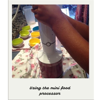 Using the mini food processor (2)